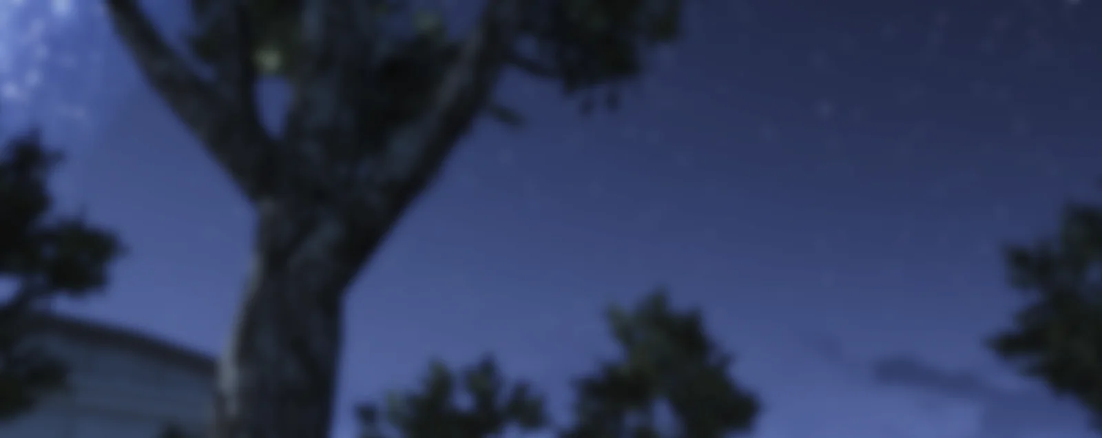 Blue Reflection Second Light Night Scenery